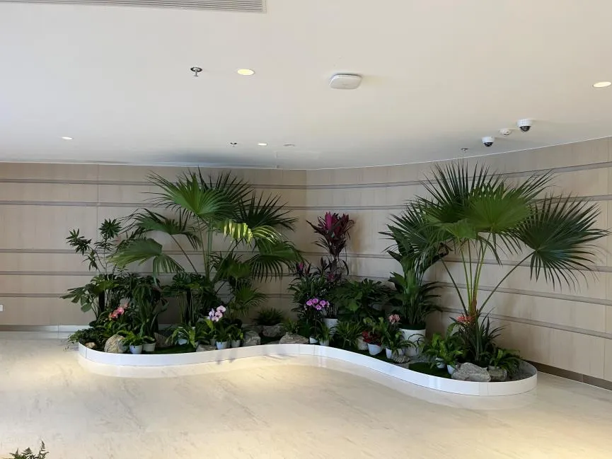 热门的宁波花卉租摆方案，你知道几个？